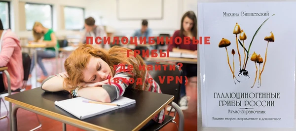 СК Алзамай