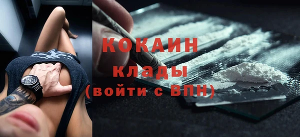 стафф Арсеньев