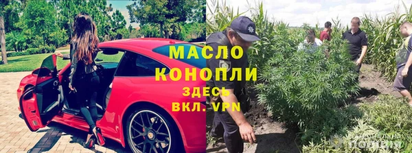 стафф Арсеньев