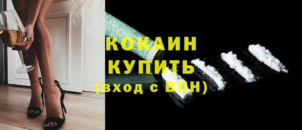 стафф Арсеньев