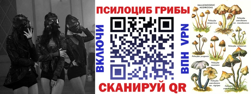 нарко площадка какой сайт  продажа наркотиков  Каневская  Псилоцибиновые грибы мицелий  блэк спрут  